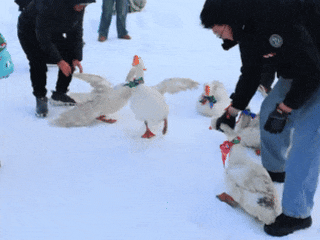 kaiyun-“打出溜滑”火出圈！网友：东北人的胯骨轴自带稳定系统